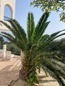 Villa Ocean Breeze Terracce
