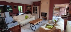 Spacious house in Montignies-sur-Roc with garden