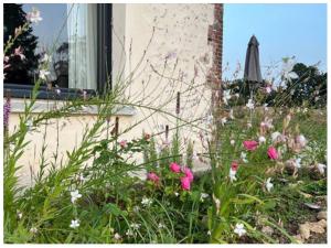 Maisons de vacances Cottage romantique dans les champs : photos des chambres