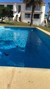 Apartamento Forcat 25