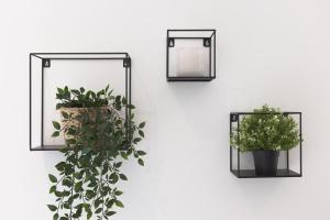 " Latelier DAndré " Center Of Cannes - CONGRES - Plage - Clim