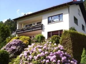 Ferienwohnung Haus Patry - Airlenbach