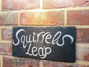 Squirrels Leap