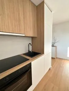 Ljubljana City Getaway Apartment - Šent Vid ni Ljubljano
