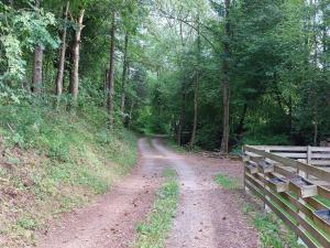 Ferienwohnung, offenes Apartment