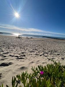 AStudio Lumineux à la plage, situation idéale commerces, bateaux ,restaurant à 20 m , Plage à 50 m, idéal pour un séjour reposant