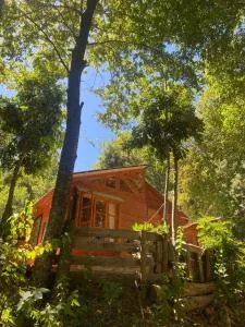 Casa en bosque - El Torreón