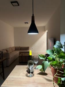 Karposh garden apartment