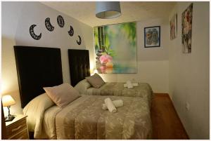 apartamentos MERIDA LÚDICA parking gratis