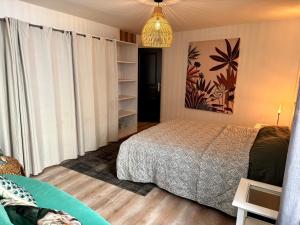 Appartements Superbe appartement grande terrasse centre ville St Remy : photos des chambres