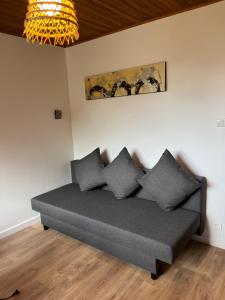 Studio 100m des pistes Leychauda