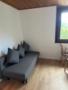 Studio 100m des pistes Leychauda