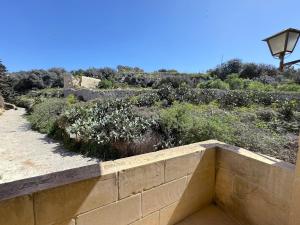 The Nest Siekel Townhouse