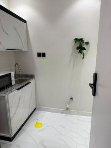 استديو انيق