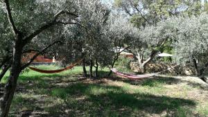Aix en Provence charmante villa piscine cadre verdoyant 6 personnes