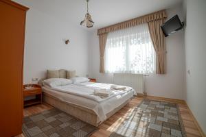 Vidéki Vendégház - Pensiune Rurală