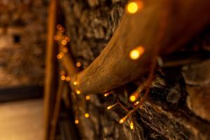 Maisons de vacances Grand gite 4 etoiles - Bain nordique : photos des chambres