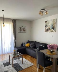 Apartman Milica