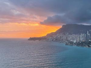 Aux portes de Monaco superbe T3 vue mer
