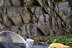 Cosy Cottage overlooking the Teifi Gorge