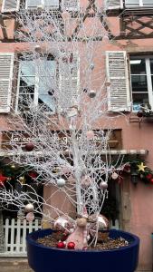 Appartements Gite BI UNS chez Silvana : photos des chambres