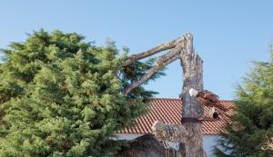Villa room in Quinta do Rol