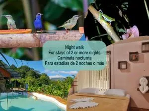 Cabañas del Rio - 福尔图纳