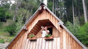 Glamping apartma Oaza miru