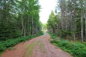 4 Season Getaway in Downeast ME close to Acadia Nat'l Park - Otis