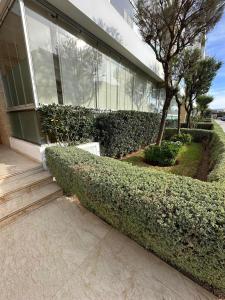 Peninsula Dar Bouazza