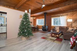 Fly Away Home with Aurora Views