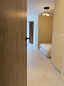 The Green Pine Studio - Hils Brauner