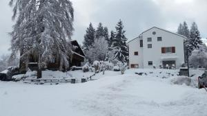 Apartma Casa Alva Flims &Scaron;vica