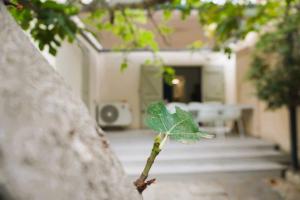 Appartements Lo- Ruino - Clim - 4 Pers - Plage - Prest -immo : photos des chambres