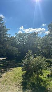 la maison dans leparc