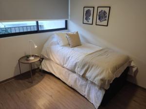 Comfortable Apartment in Santiago Close to Everything