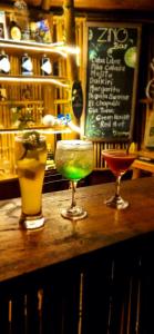 Eco Hostel y Cabañas Duck House