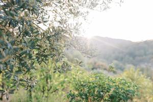 Cozy Mountain View House Near Olympos & Adrasan