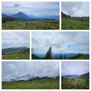 Privatzimmeroase Felicitas exklusive Zimmer