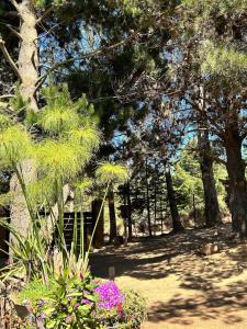 Cabaña los Gansos Playa Bosque Grill Wi-Fi TV