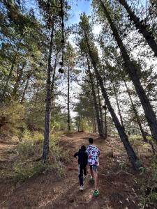 Cabaña los Gansos Playa Bosque Grill Wi-Fi TV