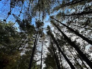 Cabaña los Gansos Playa Bosque Grill Wi-Fi TV