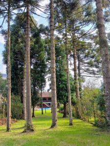 Suíte a 100mts da Catedral de Pedra