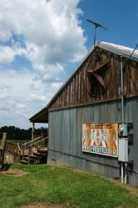 Tiki Cabin Yellow Rose Canyon