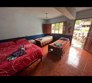 Rio Jordan San Francisco