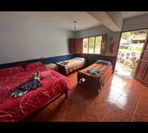 Rio Jordan San Francisco - Valle Grande