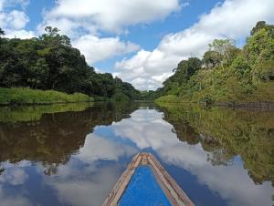 Allpayacu Adventures Lodge -Inclusive