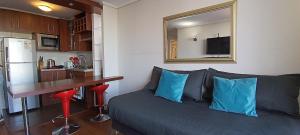 Apartamento Living Vicuña