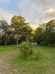 la maison dans leparc