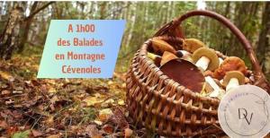 Villas La Dolce Villa - Bali&les Cevennes : photos des chambres